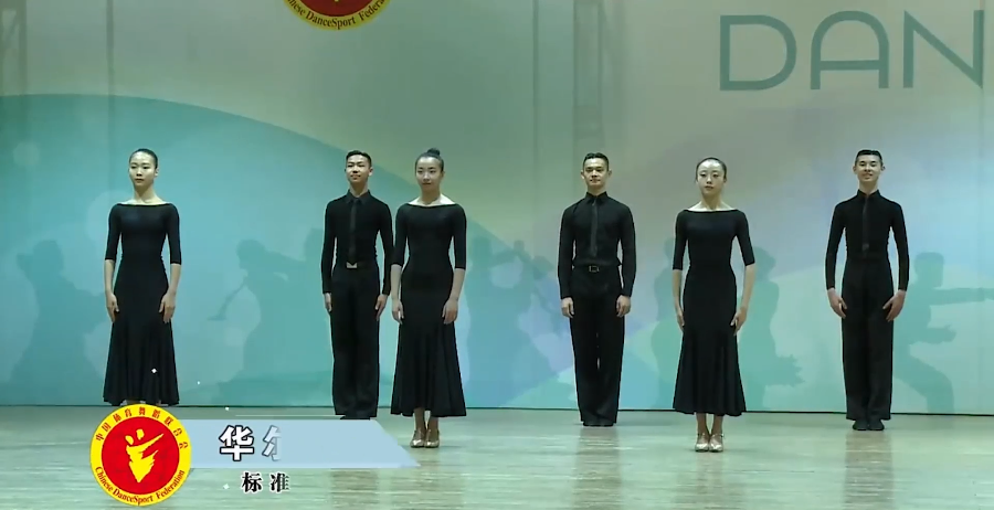 标准舞五级-华尔兹单人金牌组合
